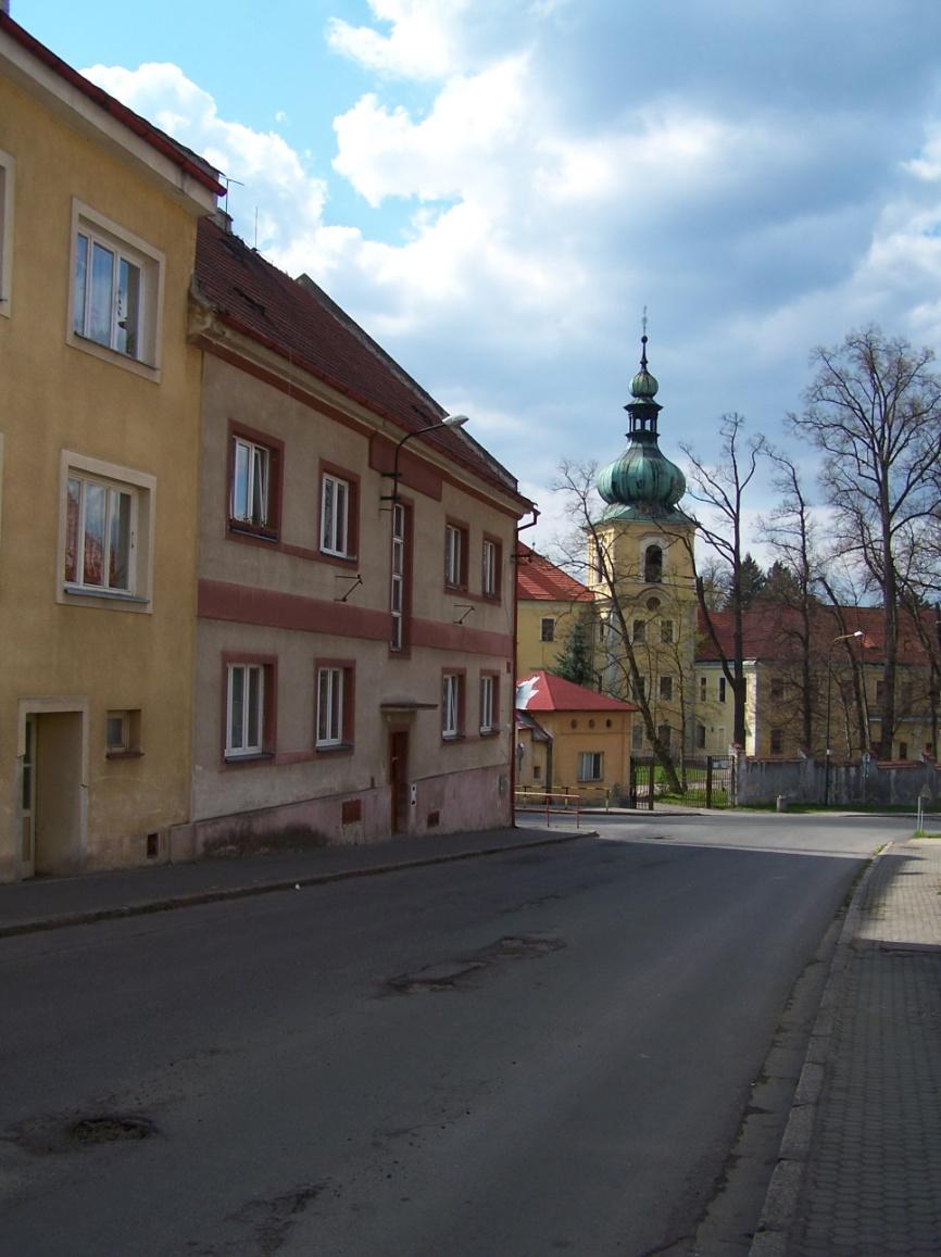 PROVOZNÍ ROZBOR ŘEŠENÉHO ÚZEMÍ Analýza pohybu pěších Kolem zámecké zdi je veden chodník, který přivádí chodce nejen k hlavnímu vstupu do parku, nýbrţ také k autobusovému nádraţí, sídlišti a náměstí.