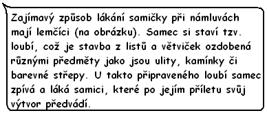 Snad žádná jiná skupina živočichů nemá tak fascinující rituály při námluvách jako ptáci.