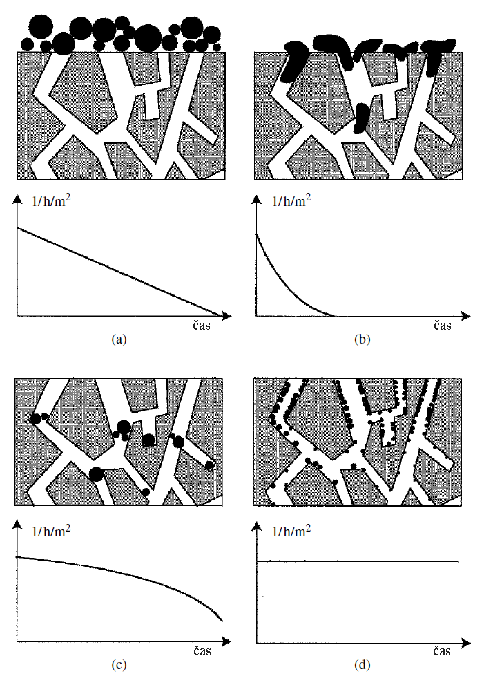 l/h/m 2 l/h/m 2 (a) čas (b) čas l/h/m 2 l/h/m 2 (c) čas (d) čas Obr. 1 Filtrační mechanismy (podle Ribéreau-Gayon et al.