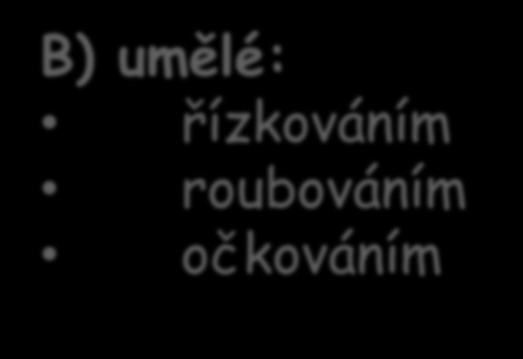 VEGETATIVNÍ ROZMNOŽOVÁNÍ SE DĚLÍ