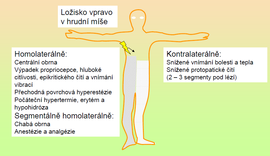 Symptomy