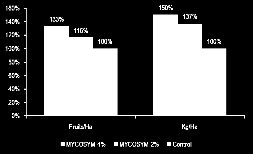 Graf 13: Míra mykorhizní kolonizace u sadby melounu cukrového Orange Flesh při různých dávkách přípravku Mycosym Tri-ton (Santander, 2012).