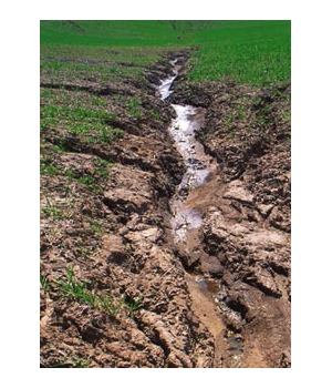3.10 Eroze půdy 28 pacitu toků, vyvolávají zakalení povrchových vod, zhoršují prostředí pro vodní organismy, zvyšují náklady na úpravu vody a těžbu usazenin a velké povodňové průtoky poškozují
