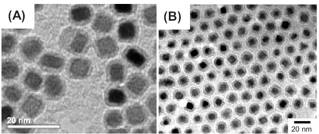 FePt nanočástice Bimodální FePt-CdSe