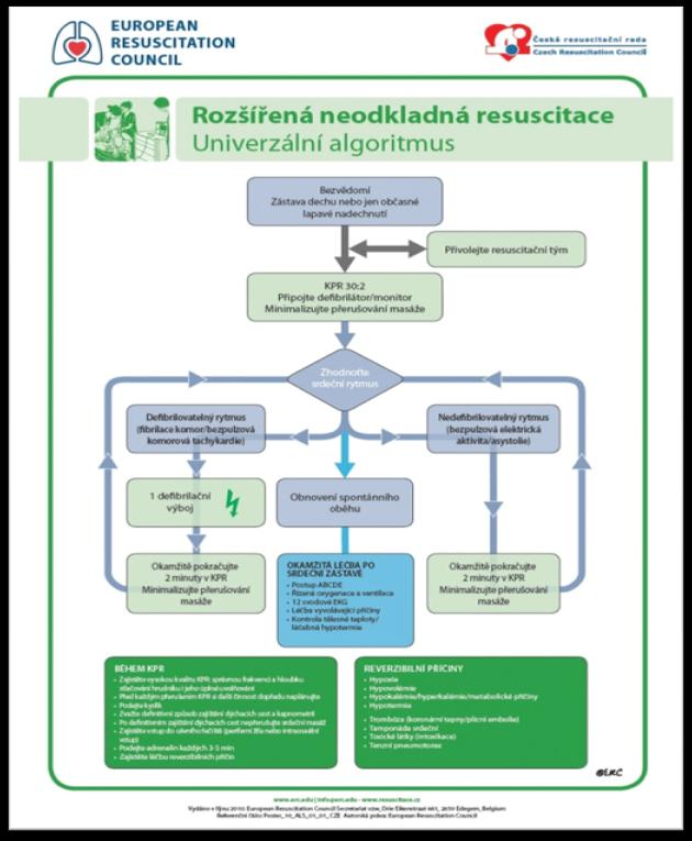 Příloha D: Rozšířená neodkladná resuscitace