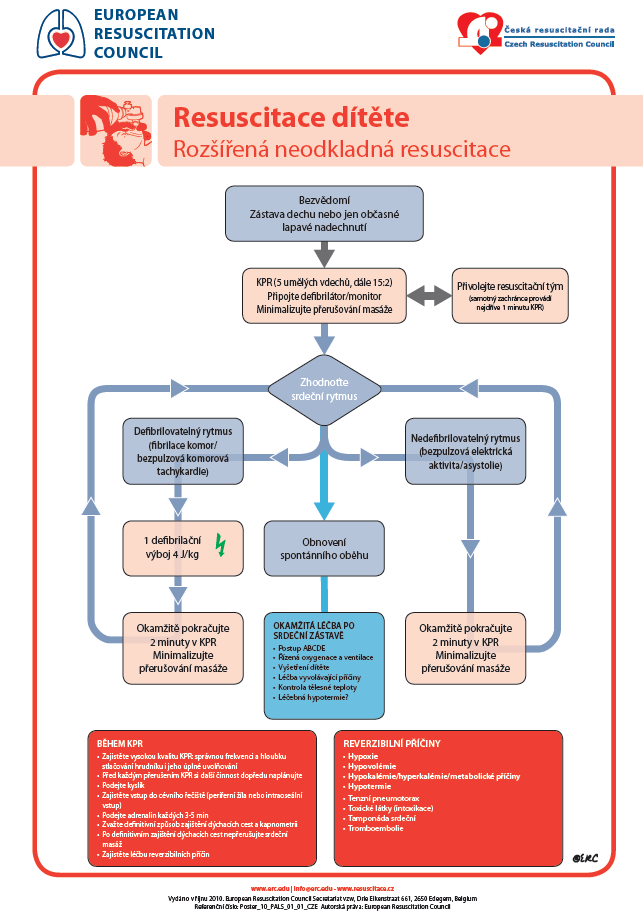 Příloha E: Resuscitace dítěte-rozšířená neodkladná resuscitace Obr.