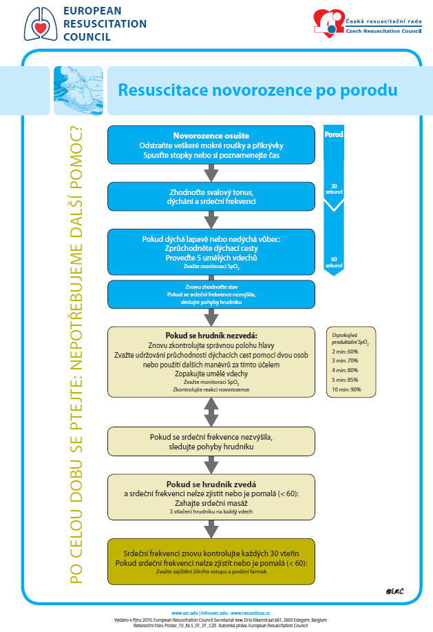 Příloha F: Resuscitace novorozence po porodu Obr.