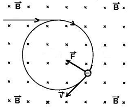 Pohyb elektronů v magnetickém poli Na náboj elektronu e, který se pohybuje v magnetickém poli o indukci B, působí síla F, jejíž velikost a směr lze určit ze vztahu: F e v B, kde v je rychlost