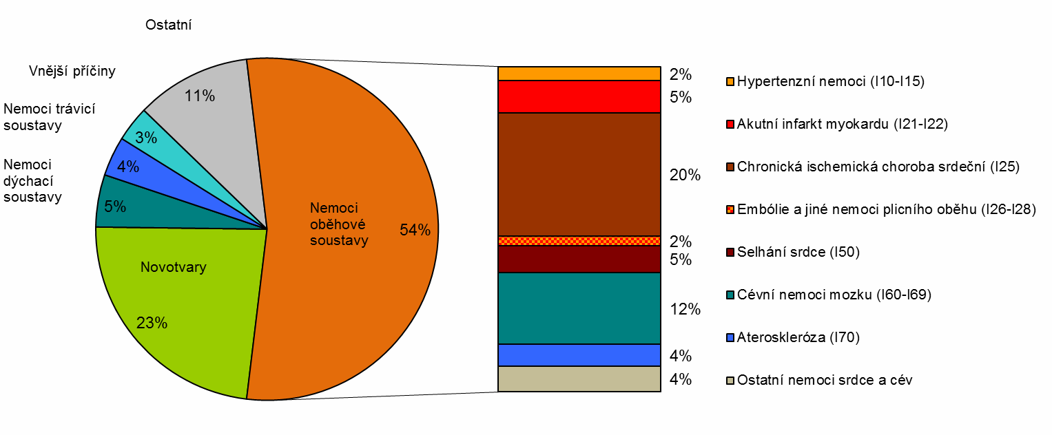Obr. 3.2.3 Relativní struktura zemřelých (v %) podle hlavních příčin smrti a vybraných příčin smrti na nemoci oběhové soustavy ČR u žen v roce 2012 Zdroj dat: ČSÚ 3.
