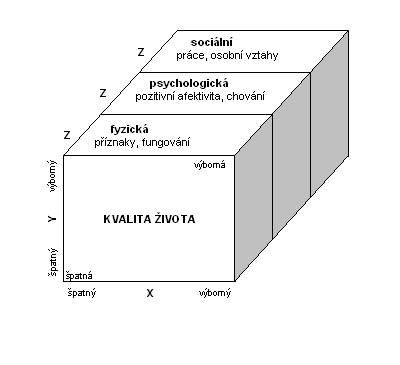Tyto domény jsou znázorněny na obrázku č. 5. Tabulka č. 5 Domény obsažené v hodnocení kvality života X - subjektivní vjem, Y - objektivní zdravotní stav, Z - domény zdravotního stavu (Salajka F.
