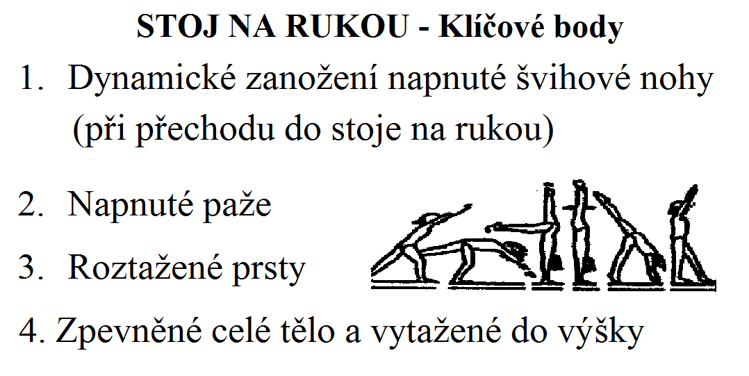 Obrázek č. 6 Kartička s klíčovými místy stoje na rukou (pro využití cvičenci) 4.3.