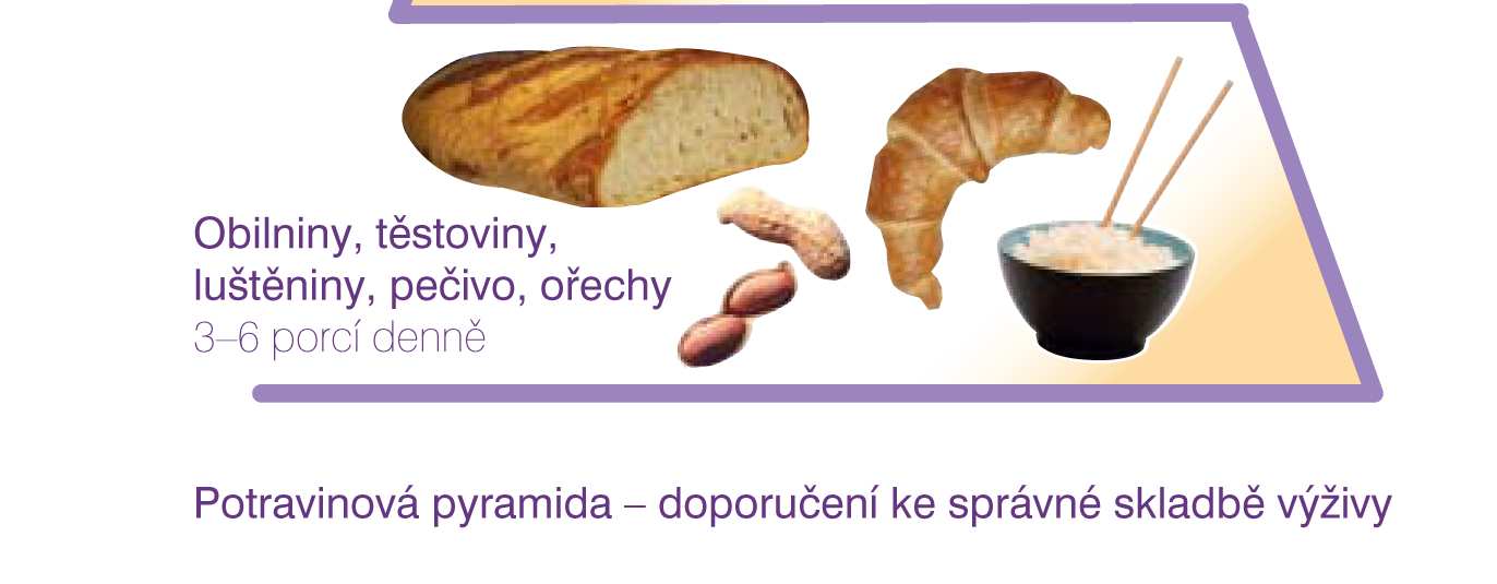 Příloha č.