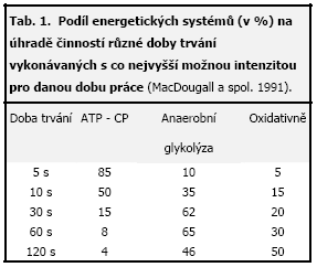 Z hlediska energetického hrazení odpovídá anaerobní výkon zejména alaktacidním energetickým rezervám (tj.