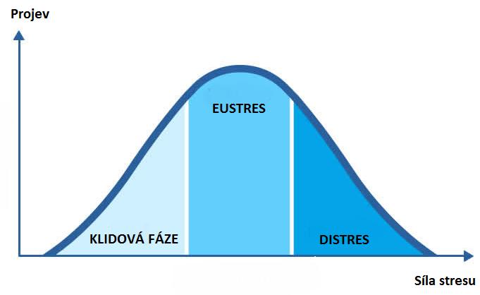 Zdroj: vlastní tvorba Graf I Eustres a distres Dle síly působení zátěže rozdělujeme stres na