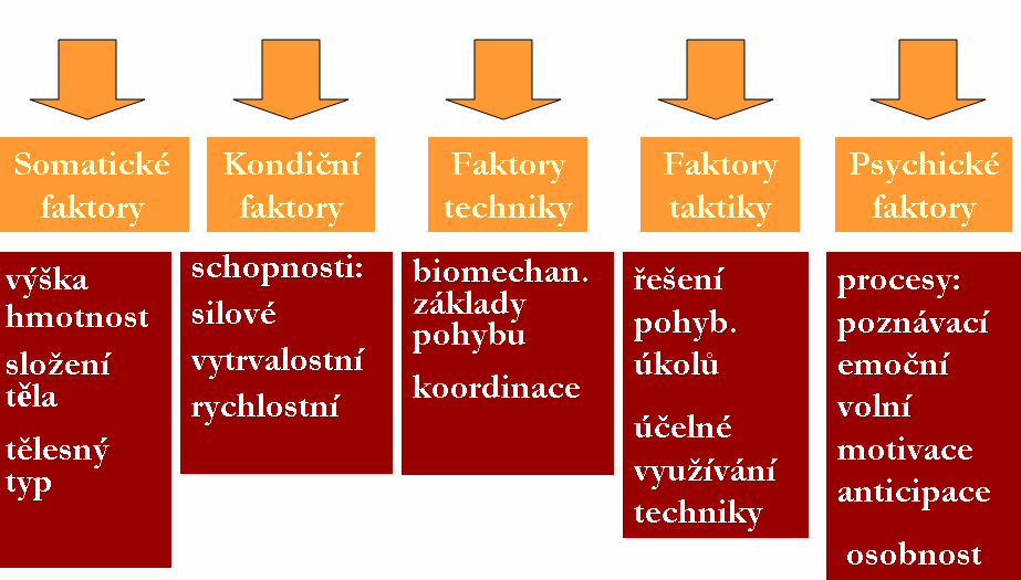 Obrázek č. 1: Struktura sportovního výkonu 1. 1. Somatické faktory: Somatické faktory sportovního výkonu jsou relativně stálé, geneticky podmíněné činitele, které hrají v řadě sportů významnou roli.