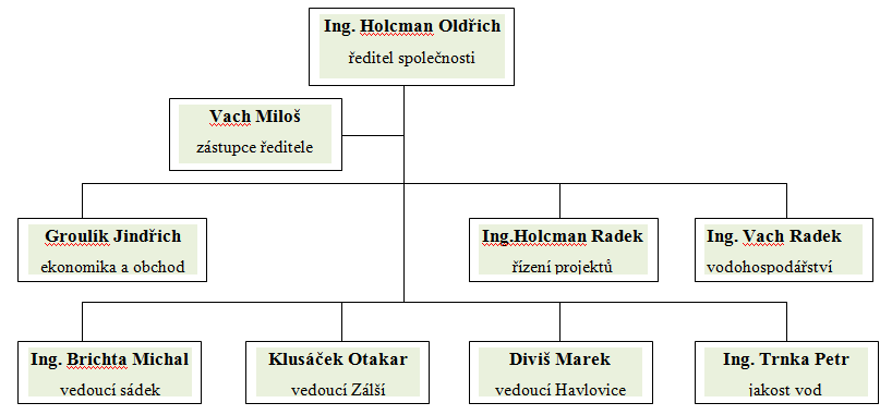 Obrázek 8 Organizační struktura (19