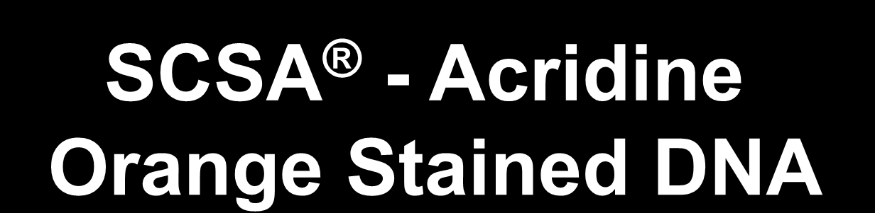 Acridine Orange Stained DNA 0