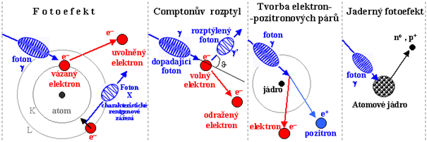 1.1.3 Interakce gama záření Zde popsané efekty interakce platí i pro rentgenové záření, které má stejnou fyzikální podstatu.