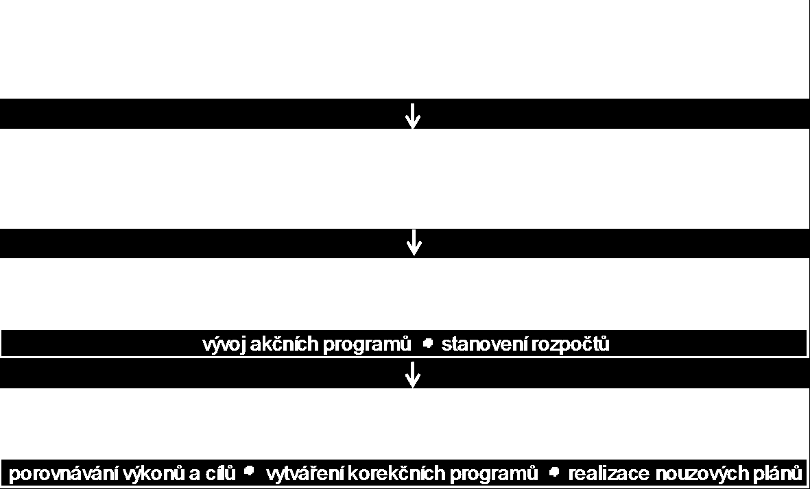 Identifikace a hodnocení strategických alternativ má zajistit odpověď na otázku jak se k danému cíly dostat. Pro dosažení cílů se stanovují akční plány, které jsou ovlivněny různými faktory.