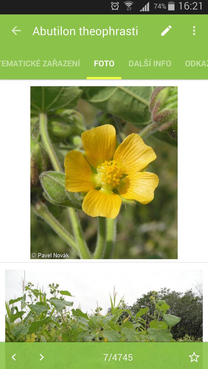 Základní informace Atlas rostlin pro chytré telefony nebo tablety s OS Android Fotografie pocházejí z Botanické fotogalerie Obsahuje