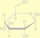 Celulóza Hemicelulózy β-d-glukopyranóza Lignin R 1 R O C C C Doprovodné tzv.
