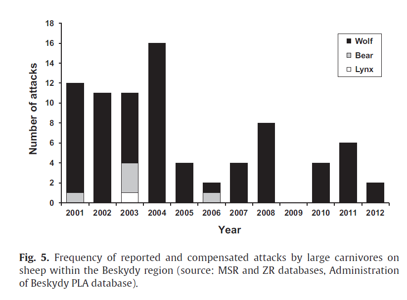 Výsledky Střety velkých šelem s hospodářským i zvířaty (2001-2012) 84 napadení, 196 zabitých ovcí.