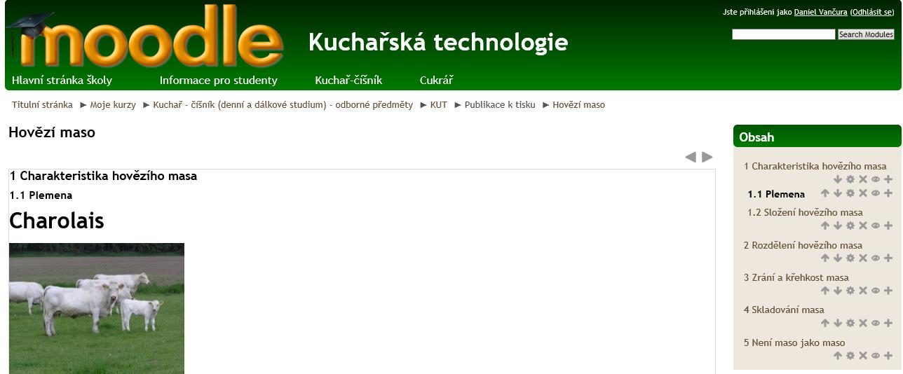 vzdělávání. On-line studijní materiál tohoto typu umí vytvářet texty ke studiu ve formě webových stránek 25.