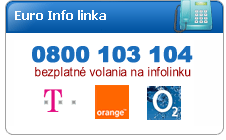 5 Vlastní práce Informační a komunikační kampaň Stránka je rozdělena na tři základní části, Euro a Slovensko, Občan a euro, Podnikatelé a právnické osoby a Média.