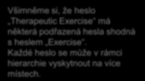 Všimněme si, že heslo Therapeutic Exercise má některá podřazená hesla shodná s