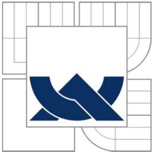 VYSOKÉ UČENÍ TECHNICKÉ V BRNĚ BRNO UNIVERSITY OF TECHNOLOGY FAKULTA PODNIKATELSKÁ ÚSTAV INFORMATIKY