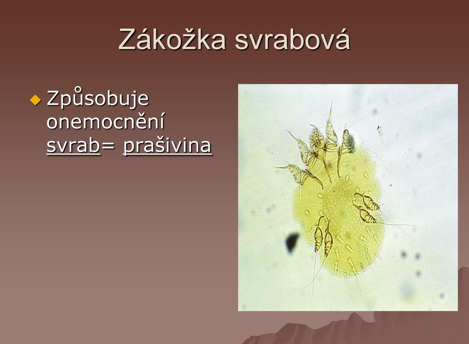Způsobuje