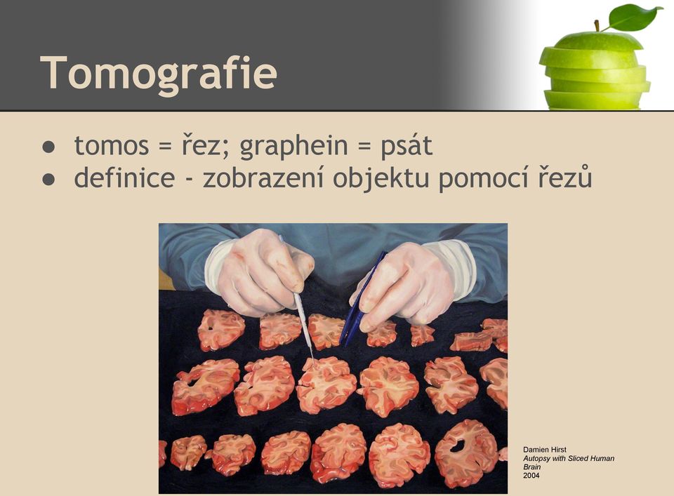 objektu pomocí řezů Damien Hirst
