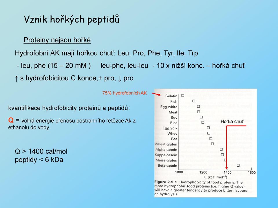 hořká chuť s hydrofobicitou C konce,+ pro, pro 75% hydrofobních AK kvantifikace hydrofobicity