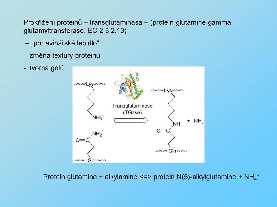 3.2.13) potravinářské lepidlo - změna textury proteinů -
