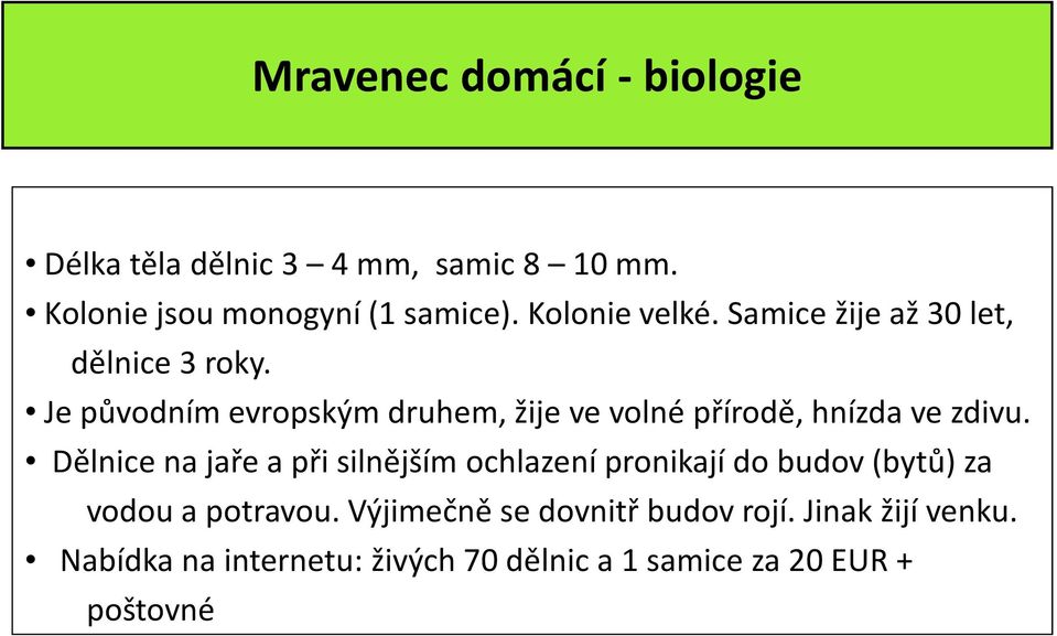 Je původním evropským druhem, žije ve volné přírodě, hnízda ve zdivu.