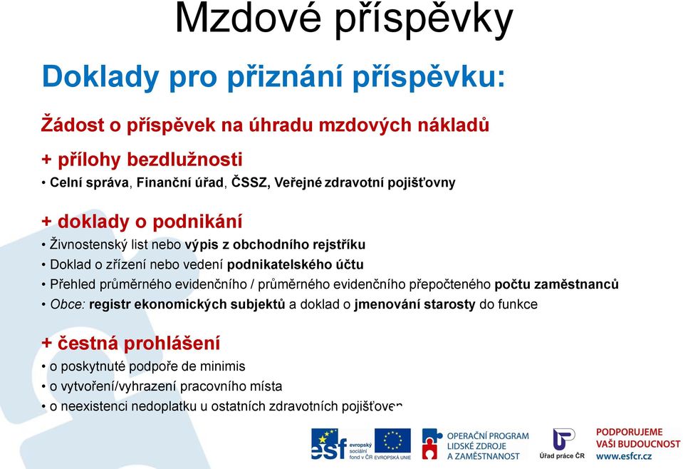 Přehled průměrného evidenčního / průměrného evidenčního přepočteného počtu zaměstnanců Obce: registr ekonomických subjektů a doklad o jmenování starosty