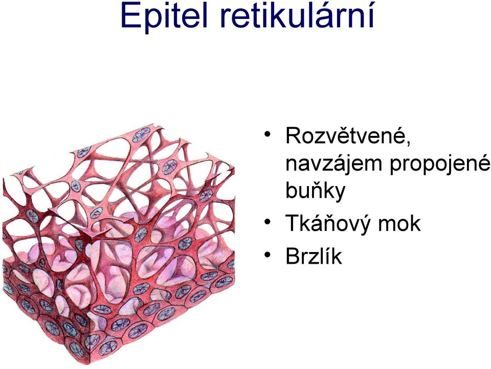 navzájem propojené