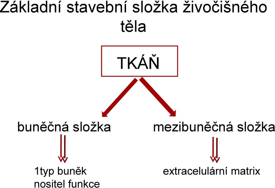 složka mezibuněčná složka 1typ