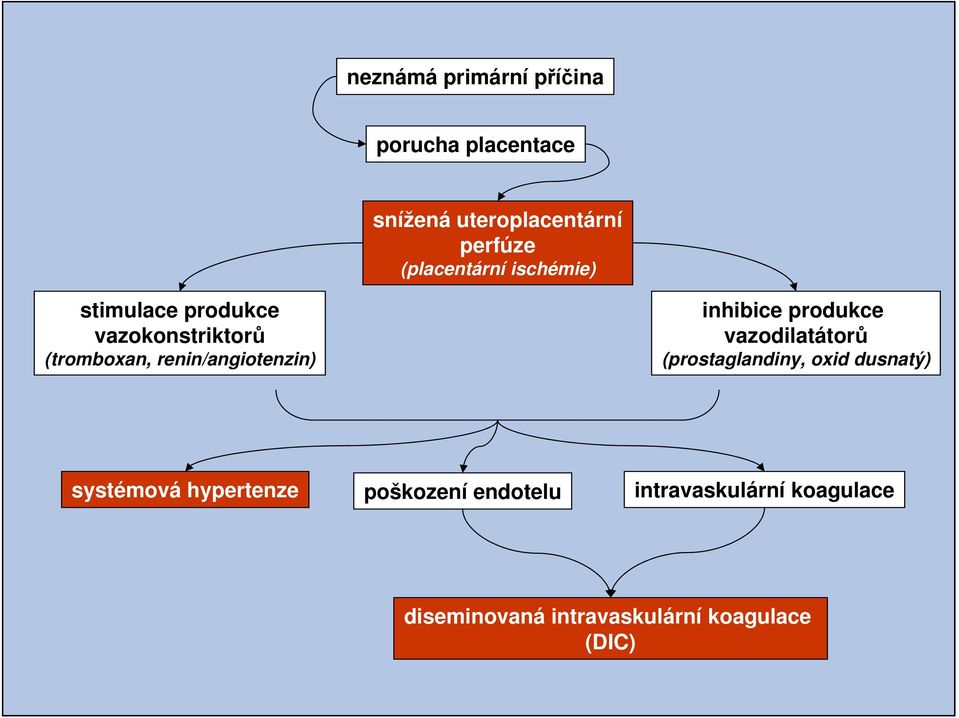 renin/angiotenzin) inhibice produkce vazodilatátorů (prostaglandiny, oxid dusnatý)