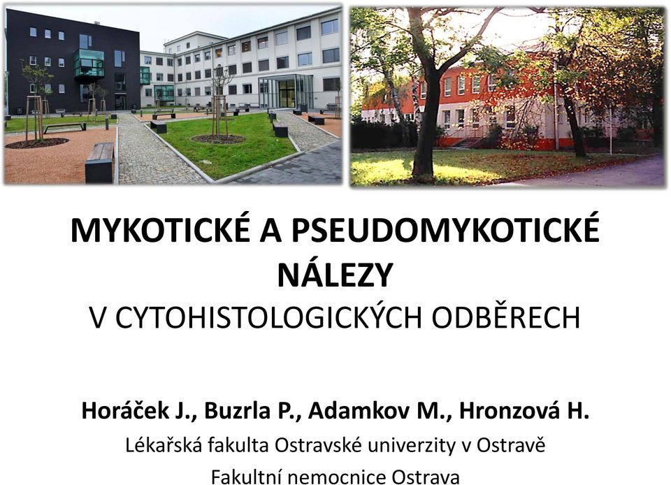 , Buzrla P., Adamkov M., Hronzová H.