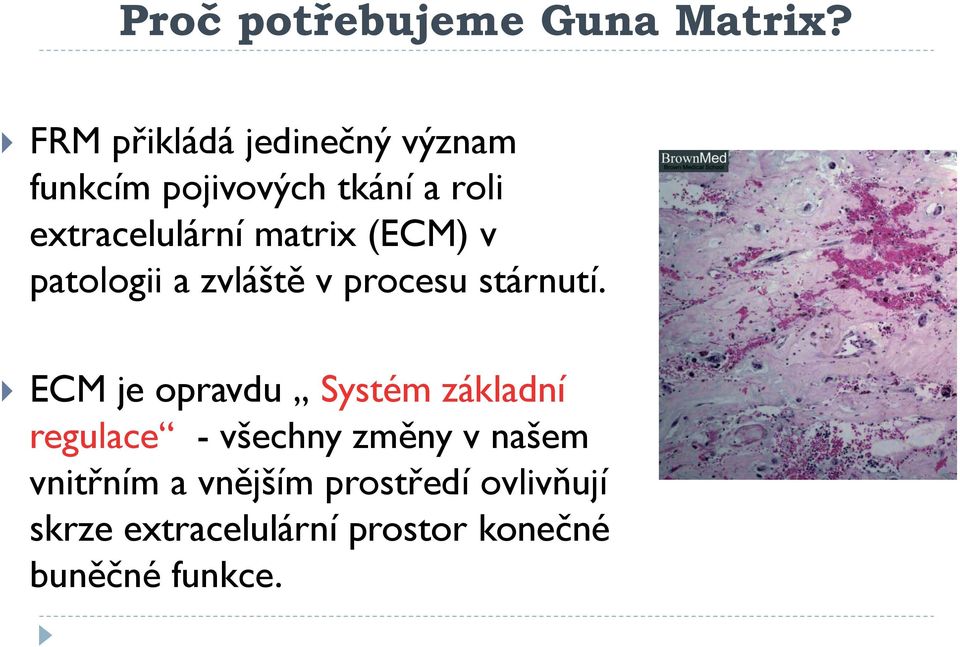 matrix (ECM) v patologii a zvláště v procesu stárnutí.