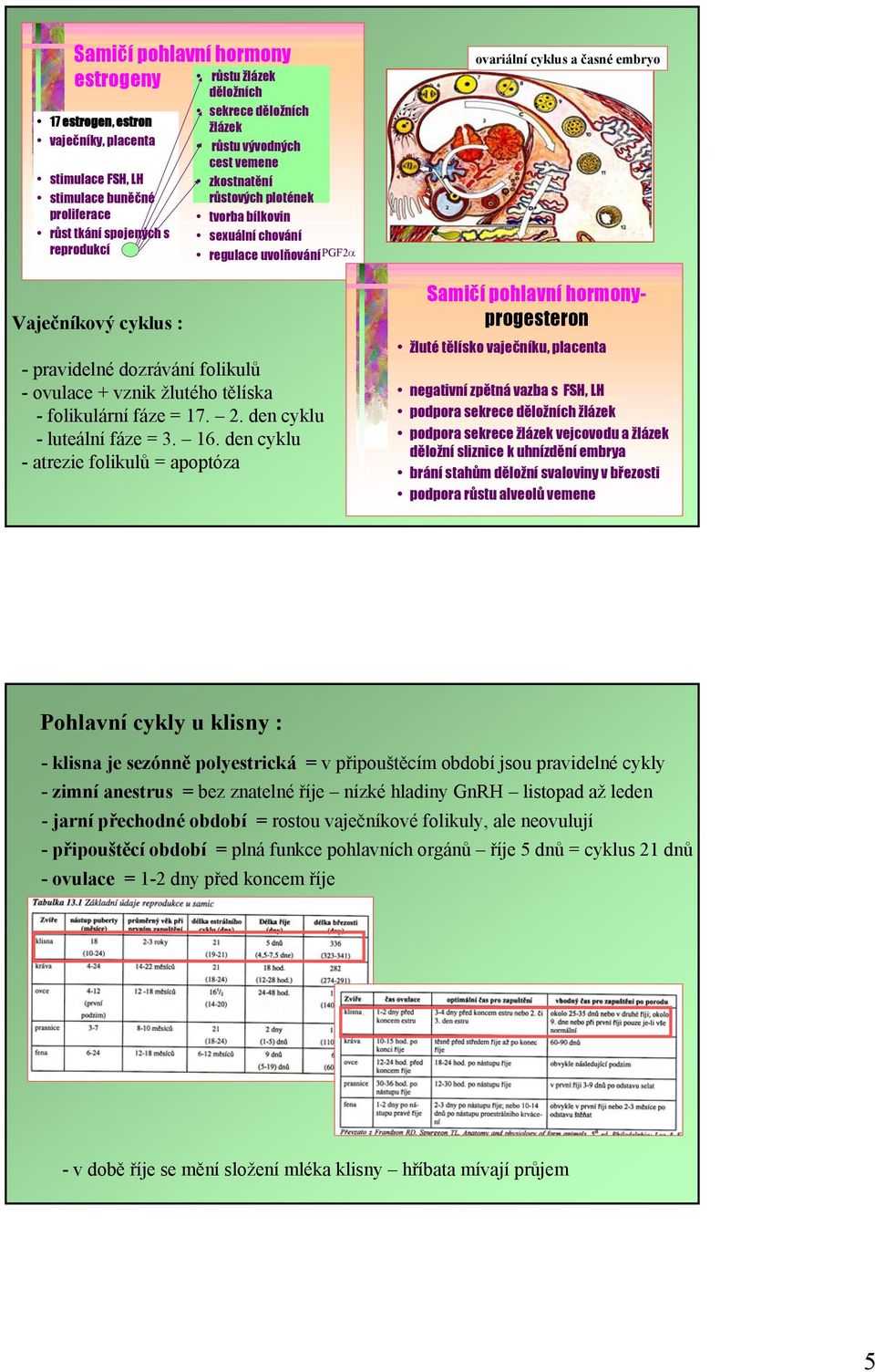 žlutého tělíska - folikulární fáze = 17. 2. den cyklu - luteální fáze = 3. 16.