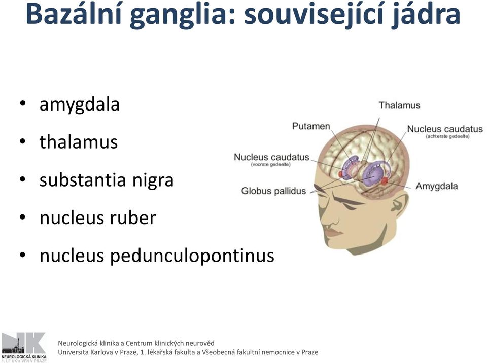 thalamus substantia nigra