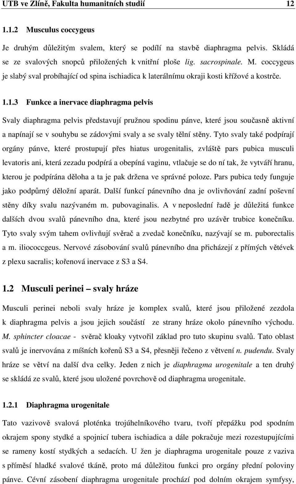 1.3 Funkce a inervace diaphragma pelvis Svaly diaphragma pelvis představují pružnou spodinu pánve, které jsou současně aktivní a napínají se v souhybu se zádovými svaly a se svaly tělní stěny.