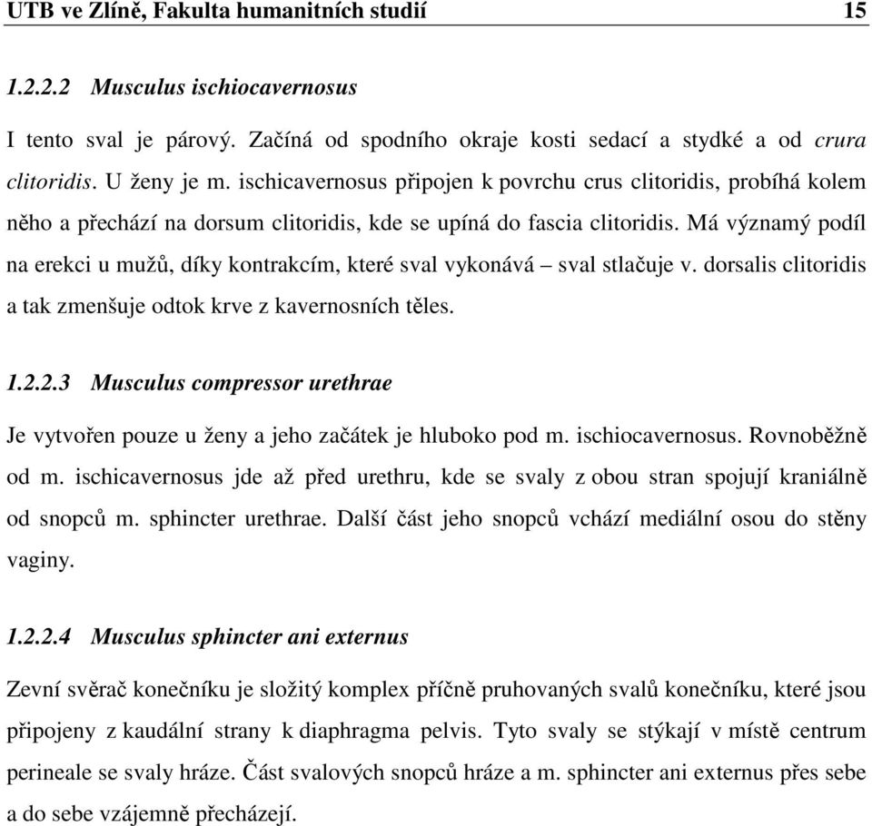 Má významý podíl na erekci u mužů, díky kontrakcím, které sval vykonává sval stlačuje v. dorsalis clitoridis a tak zmenšuje odtok krve z kavernosních těles. 1.2.