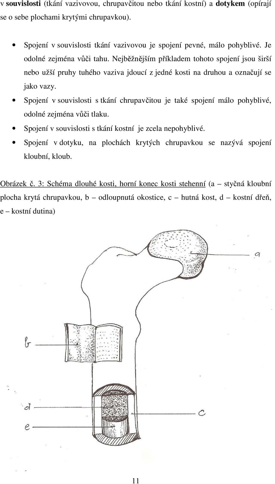 Spojení v souvislosti s tkání chrupavčitou je také spojení málo pohyblivé, odolné zejména vůči tlaku. Spojení v souvislosti s tkání kostní je zcela nepohyblivé.