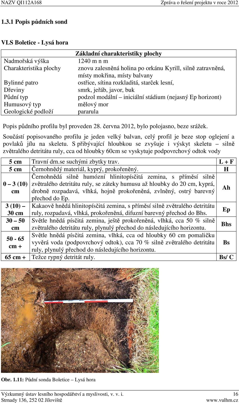 horizont) mělový mor pararula Popis půdního profilu byl proveden 28. června 2012, bylo polojasno, beze srážek.