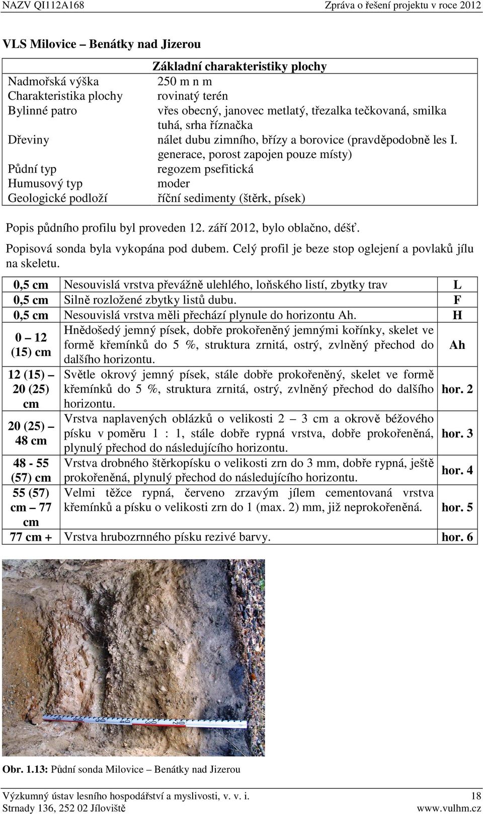 generace, porost zapojen pouze místy) Půdní typ regozem psefitická Humusový typ moder Geologické podloží říční sedimenty (štěrk, písek) Popis půdního profilu byl proveden 12.