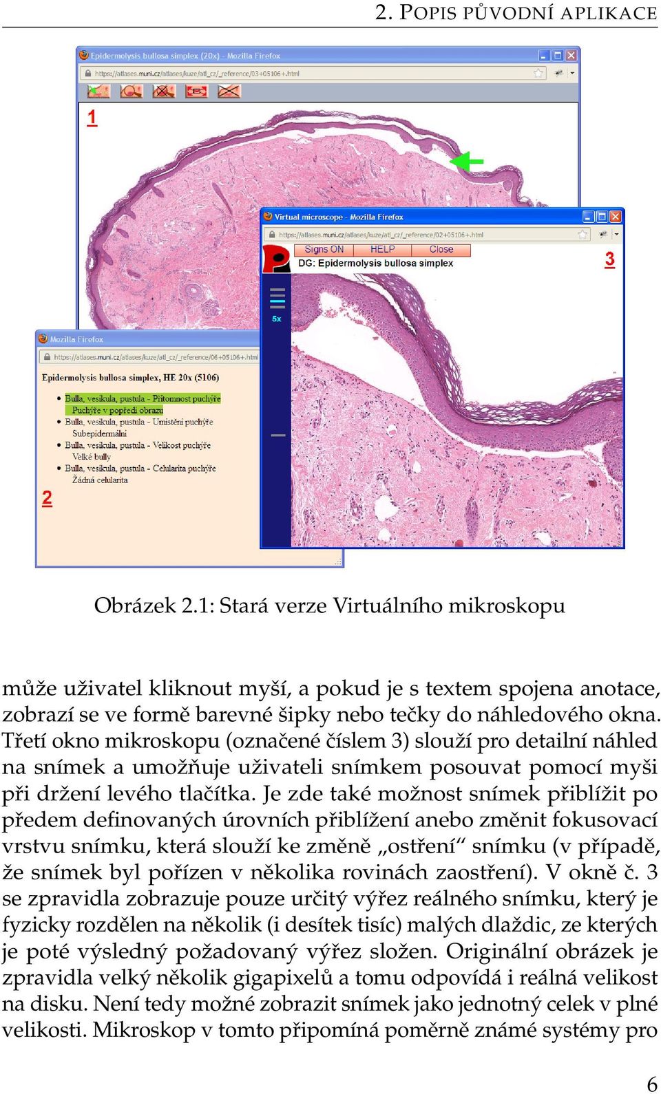 Třetí okno mikroskopu (označené číslem 3) slouží pro detailní náhled na snímek a umožňuje uživateli snímkem posouvat pomocí myši při držení levého tlačítka.