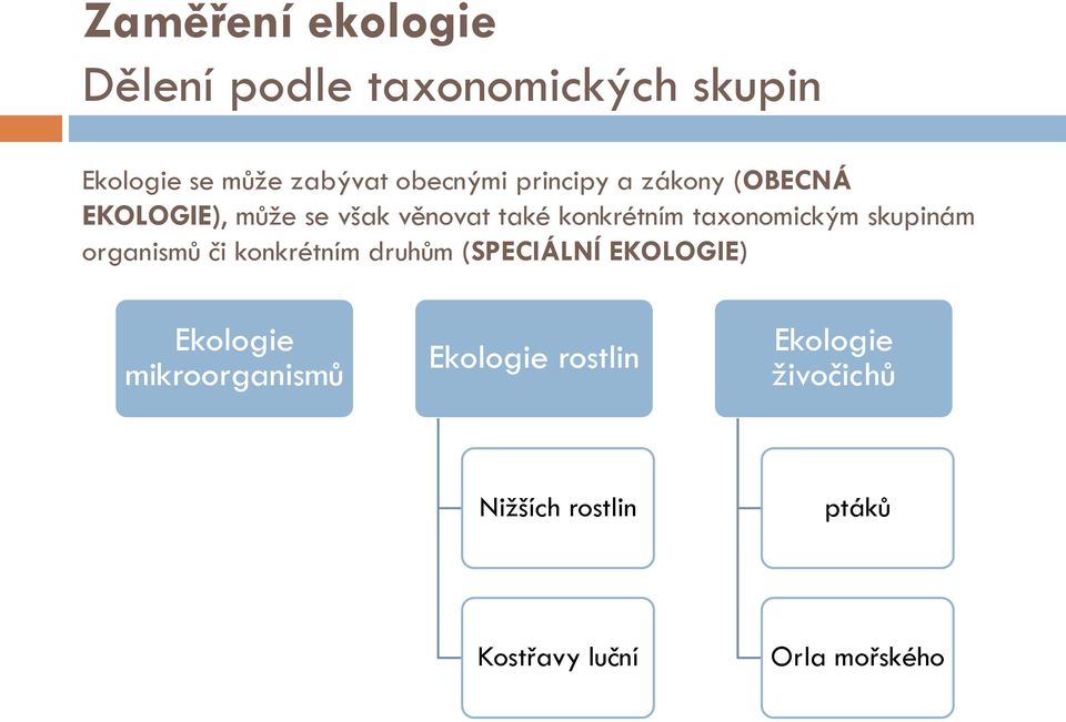 taxonomickým skupinám organismů či konkrétním druhům (SPECIÁLNÍ EKOLOGIE) Ekologie